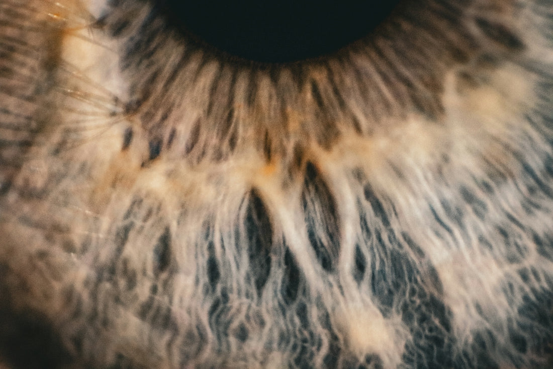 a close up view of a human eye