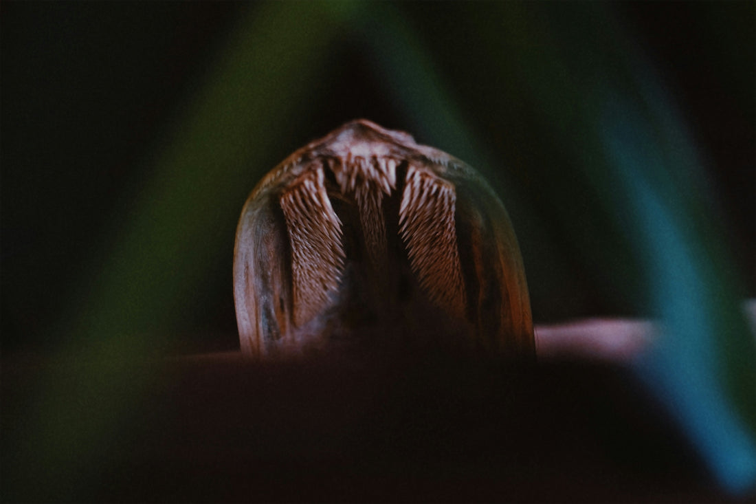 a close up of a person's hand with a blurry background
