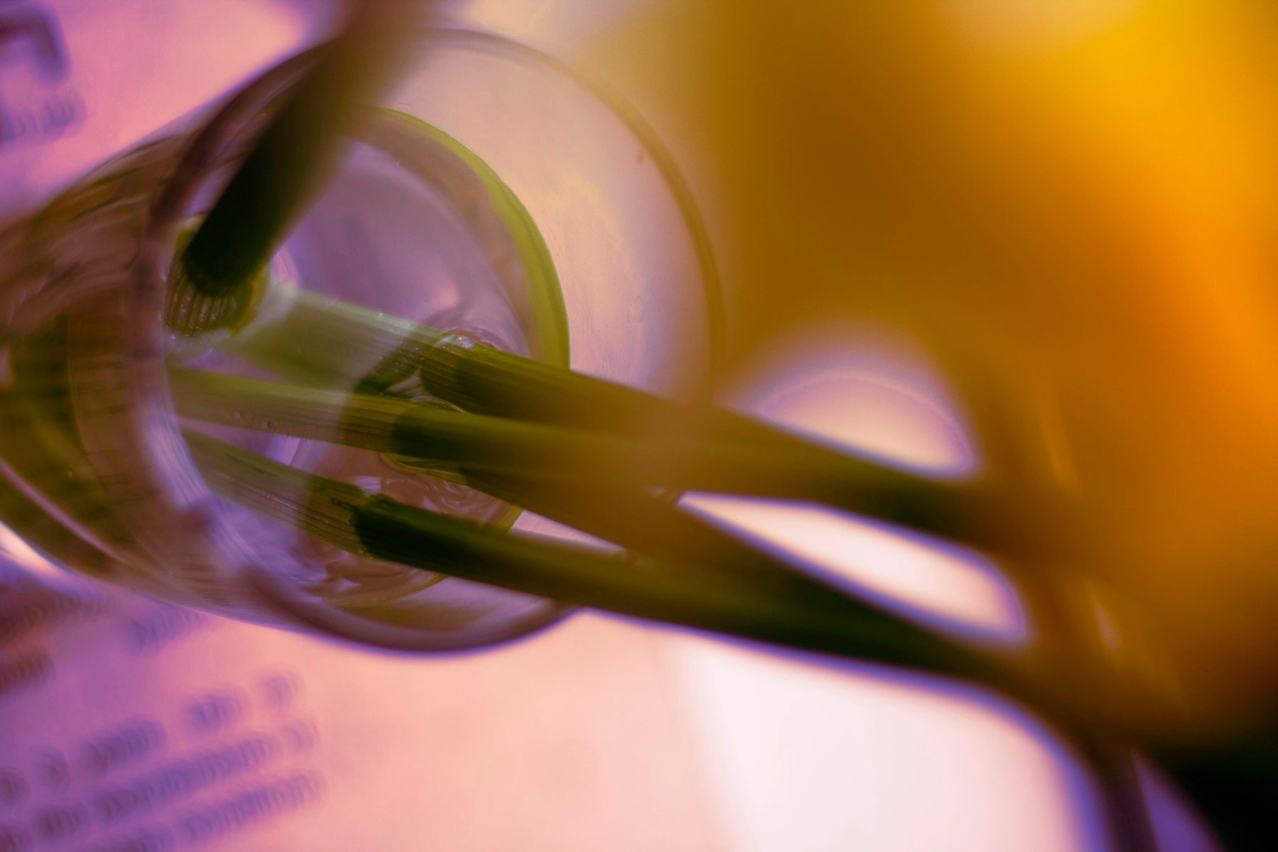 a close up of a glass with a yellow object in it