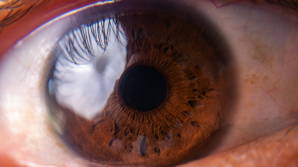 a close up view of a human eye