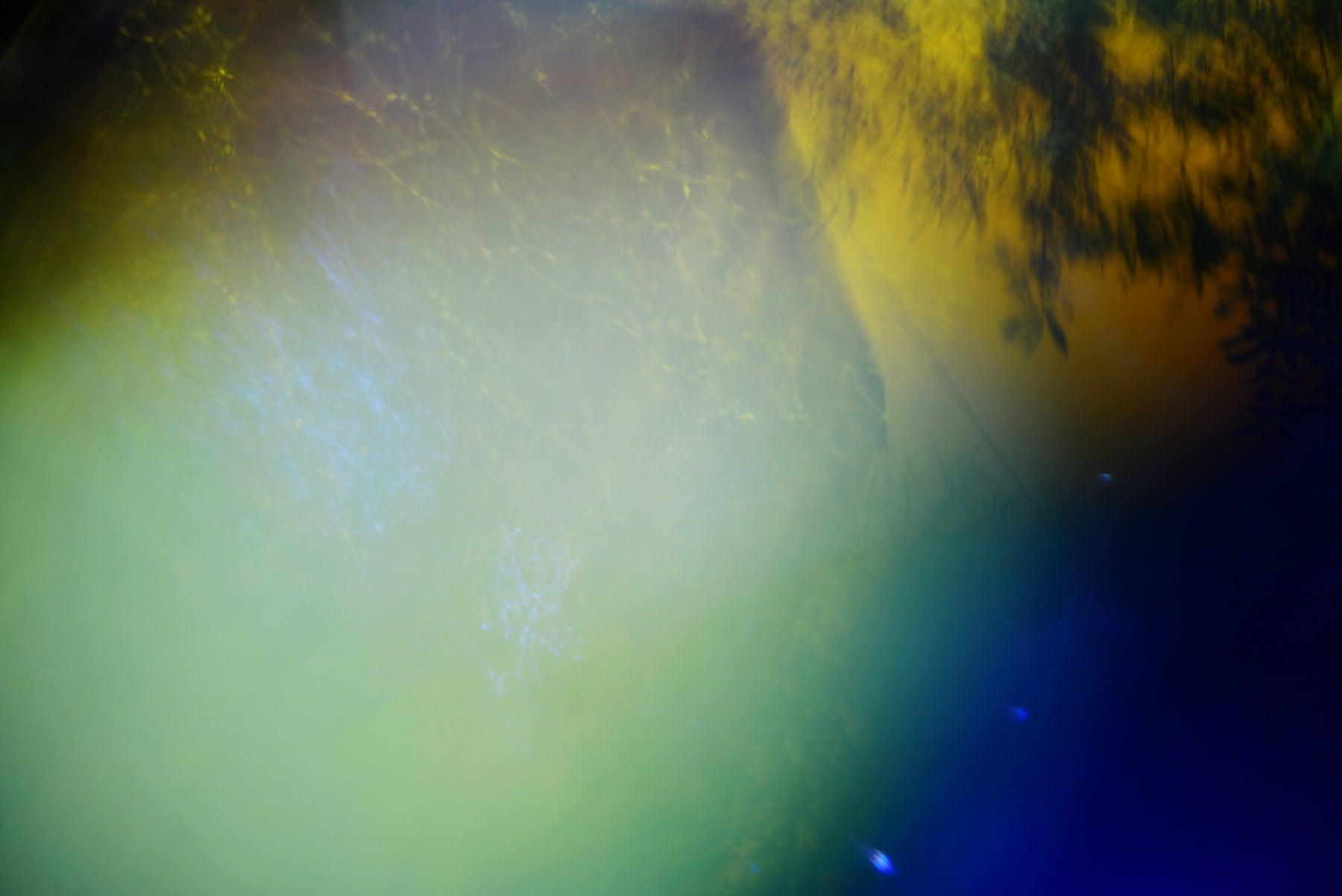 Abstract blend of yellow, green, and blue light
