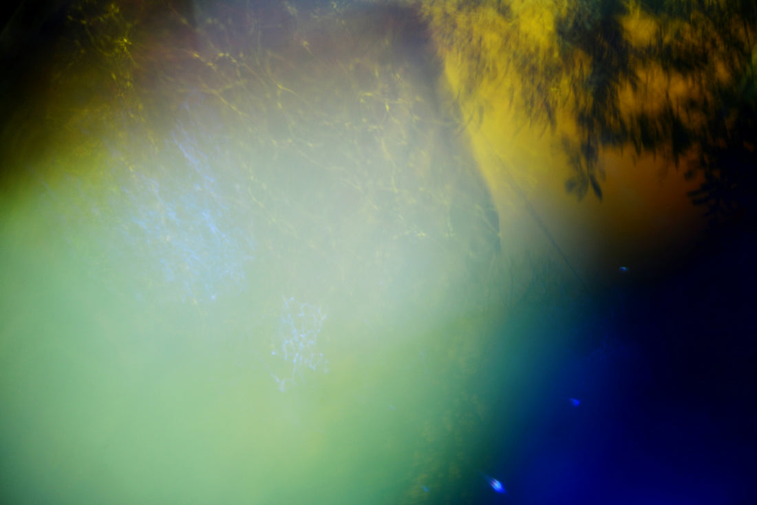 Abstract blend of green, yellow, and blue light.